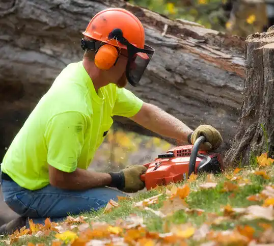 tree services Warson Woods